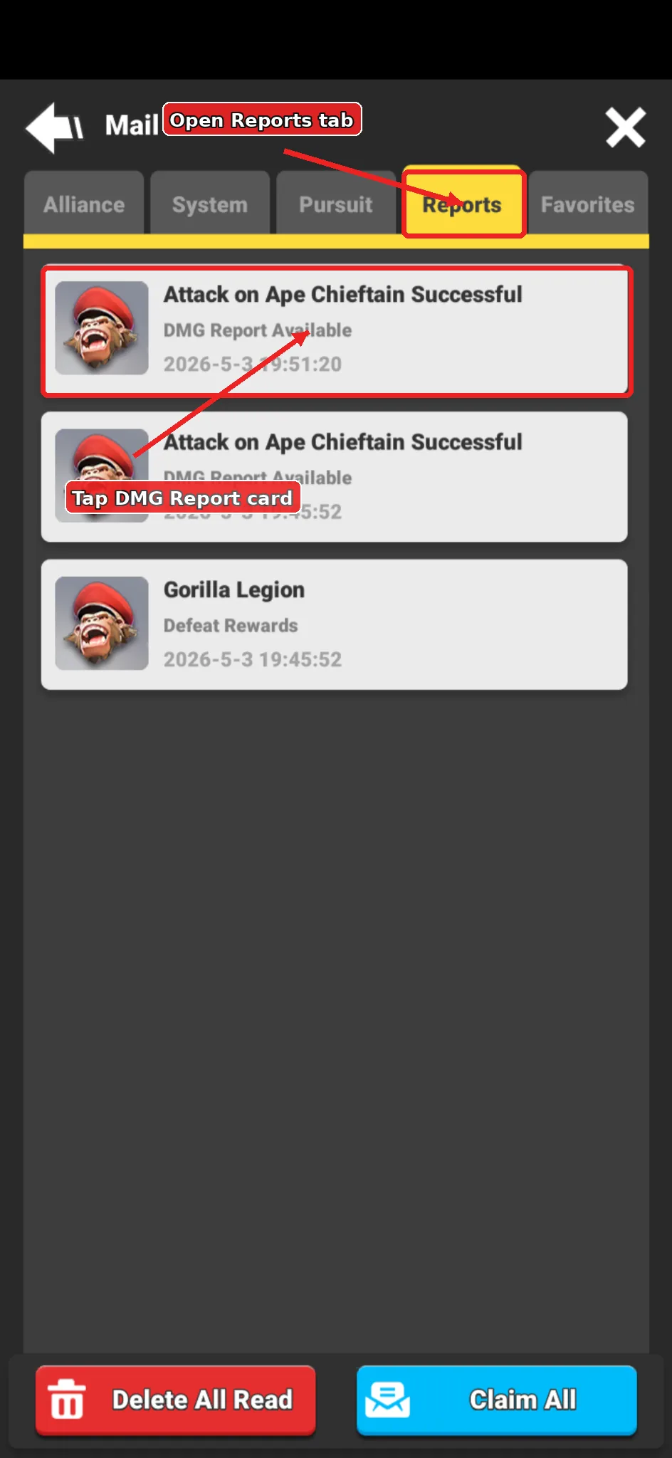 Annotated Mail Reports tab showing the DMG Report Available card.